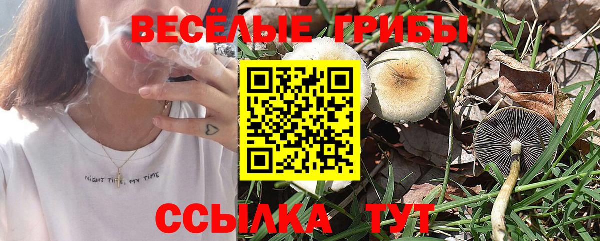 Псилоцибиновые грибы мицелий  Вход с VPN  Псилоцибиновые грибы ЛСД  Назарово 